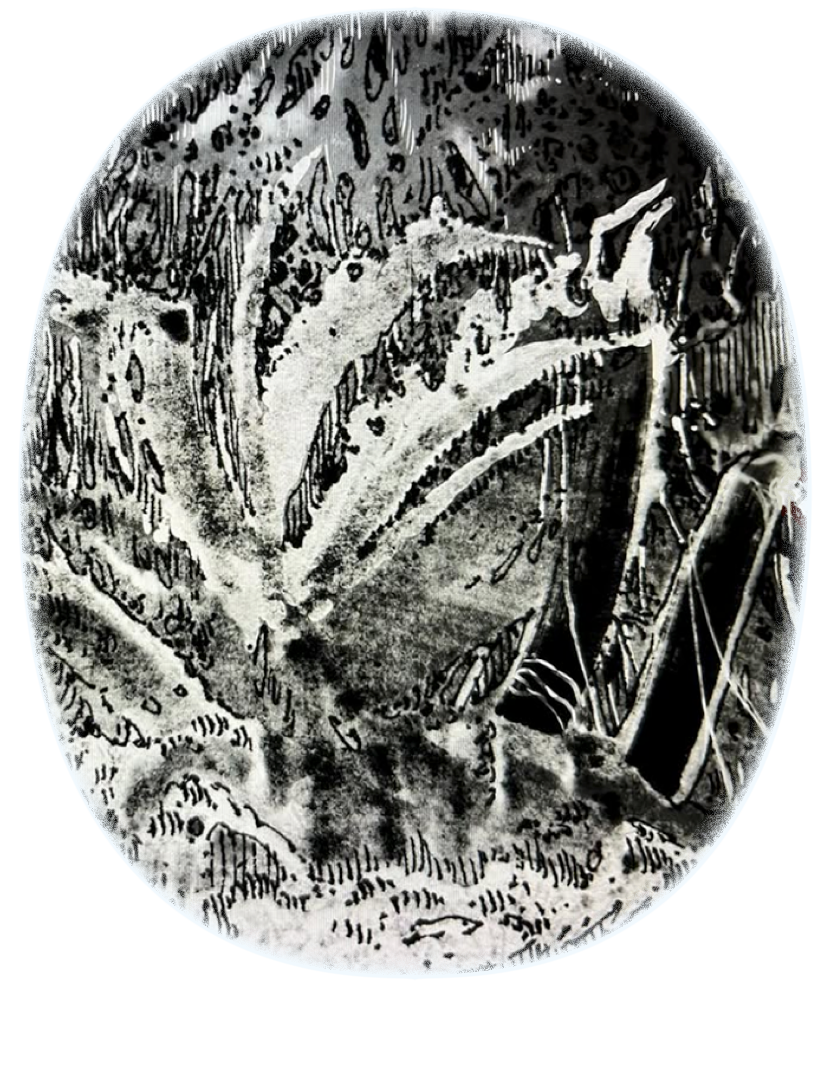 FLOWERSFIELD